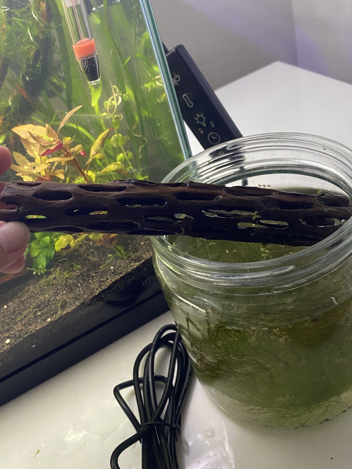 Fish Tank Log $5