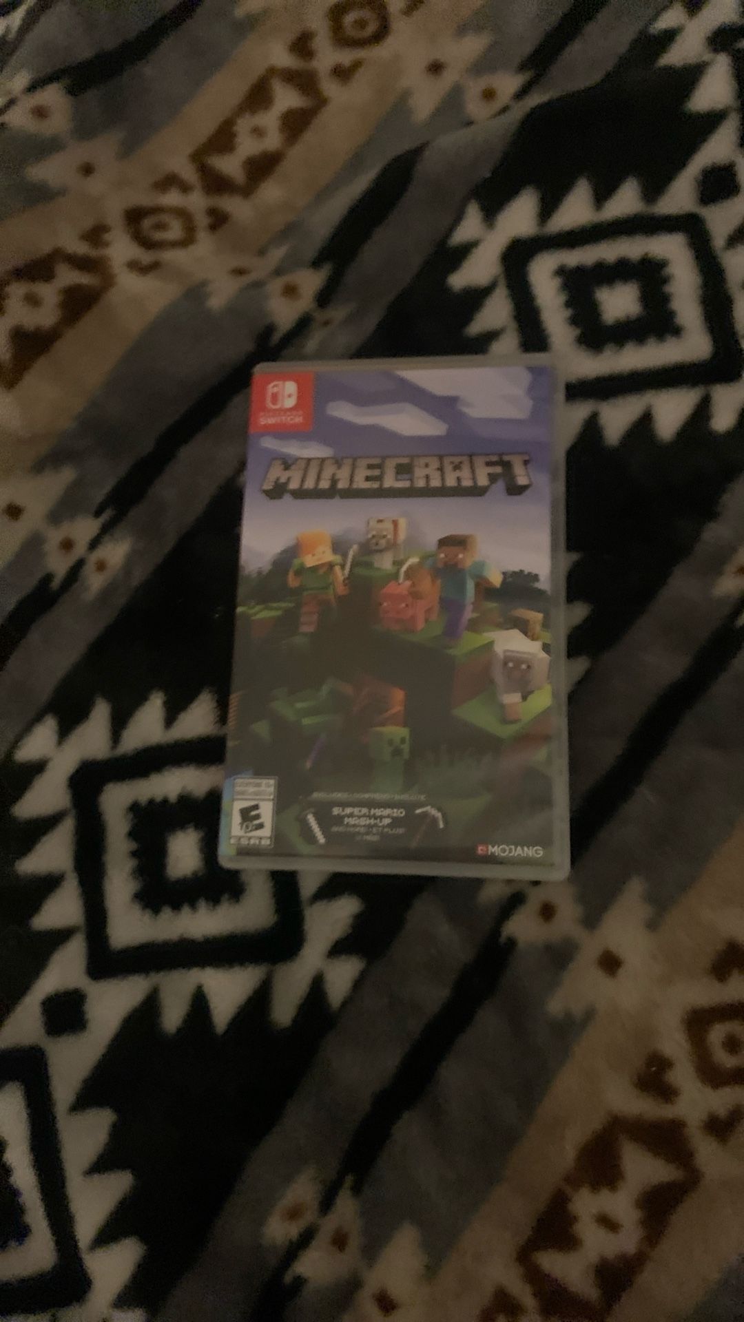 Minecraft for Nintendo Switch