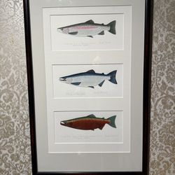 Trout And Salmon Watercolor Painting 