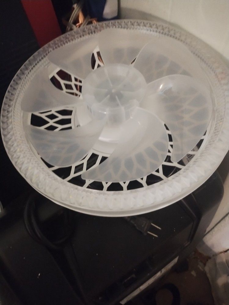 Ceiling Fan