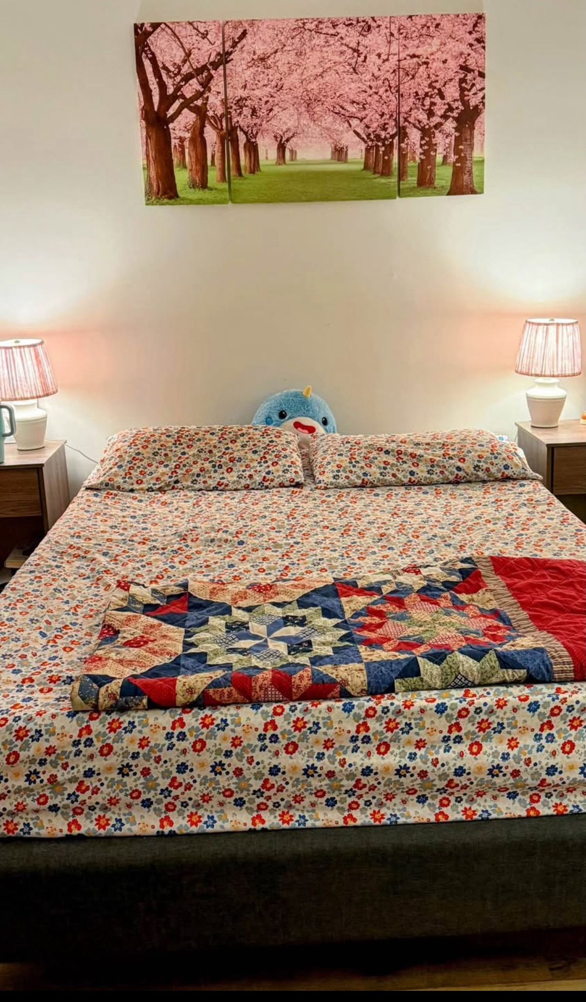 Queen Size 6 Inch Memory Foam Mattress With Bed Frame