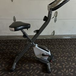 Stamina Stationery Bike