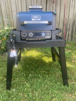 Ninja woodfire electric grill