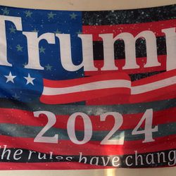 $10 for Trump flag and $10 for looney tunes poster