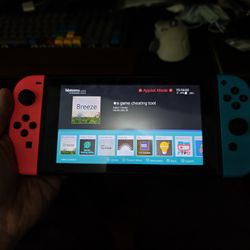 V1 Nintendo switch Atmosphere can include an already set up 256 GB SD card if the price is right