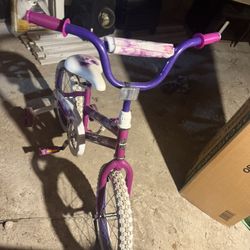 Bicycle Girls