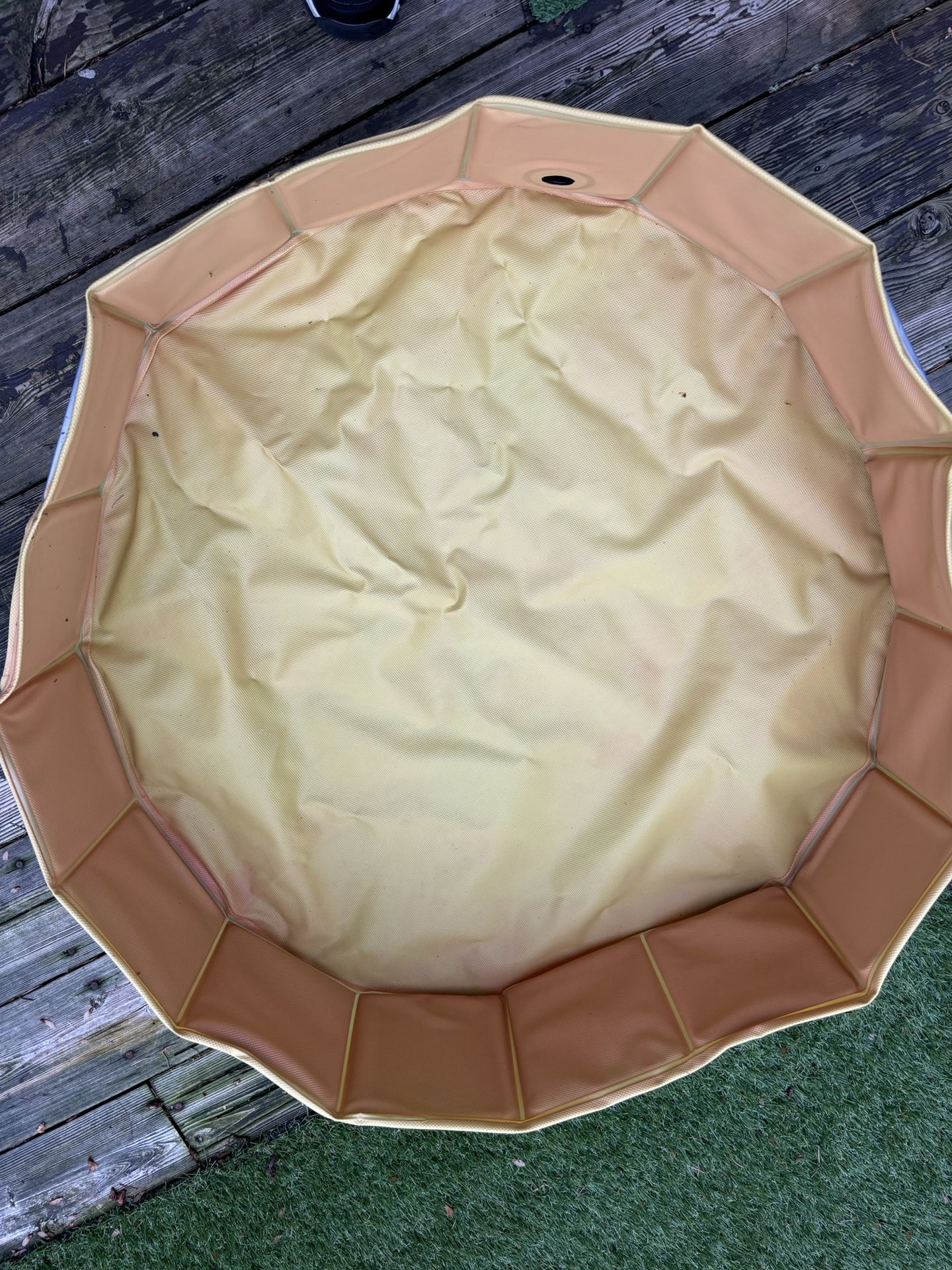 Small Shallow Enclosure/Pool