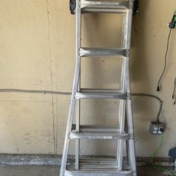 22 Ft Gorilla Ladder