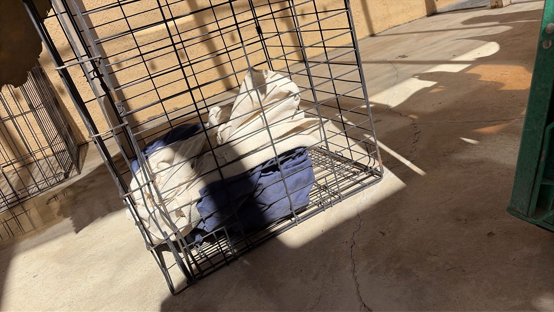 Dog Cage (medium Size)