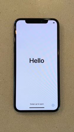 iPhone X