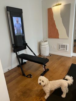 Tonal Home Gym (1st Gen) + ALL Smart Accessories – Excellent Condition