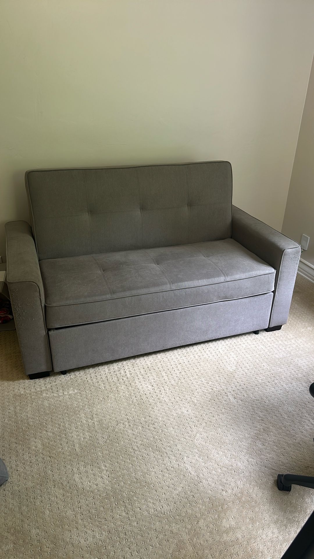 Pull Out Sofa
