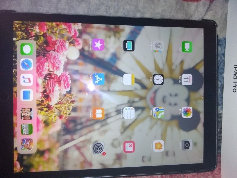 iPad pro 64gb 12.9 inch