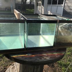 15 Gallons Fish Tank