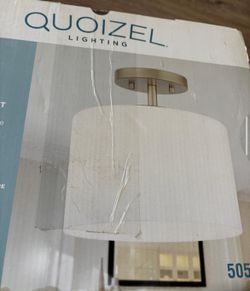 Ceiling Light New