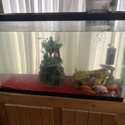Fish Tank , Fish Tank Stand Everything Included 
