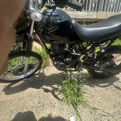 2019 hawk