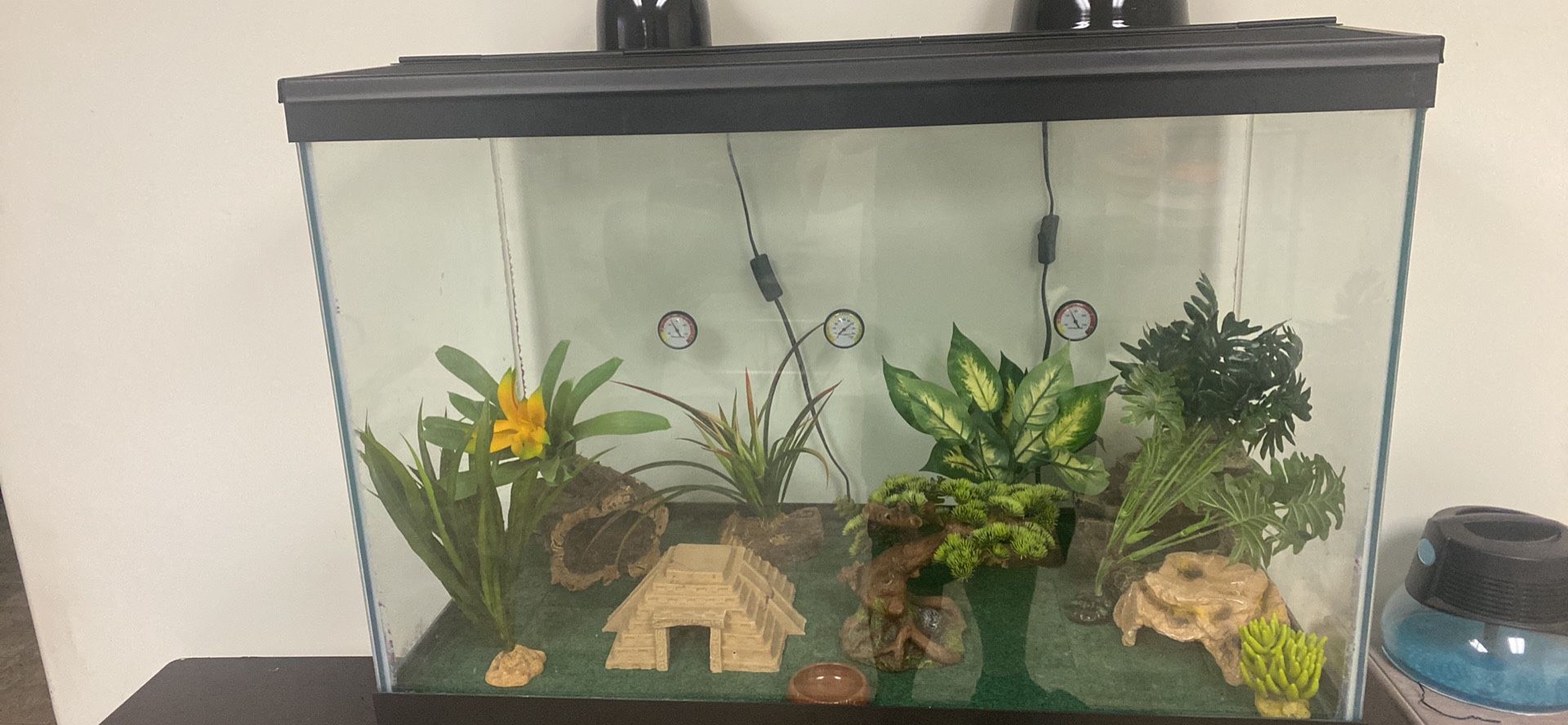 65 Gallon High Terrarium