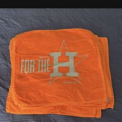 Astros Towels 