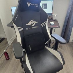 Secret Lab Chair
