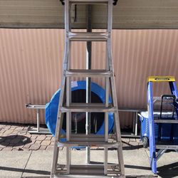 Gorilla Ladder 26 ft