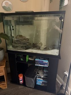 40 gal Aquarium + stand