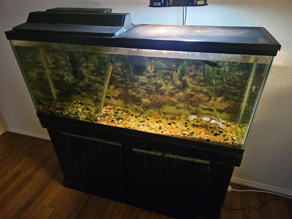 Turtle Tank / Fish Tank