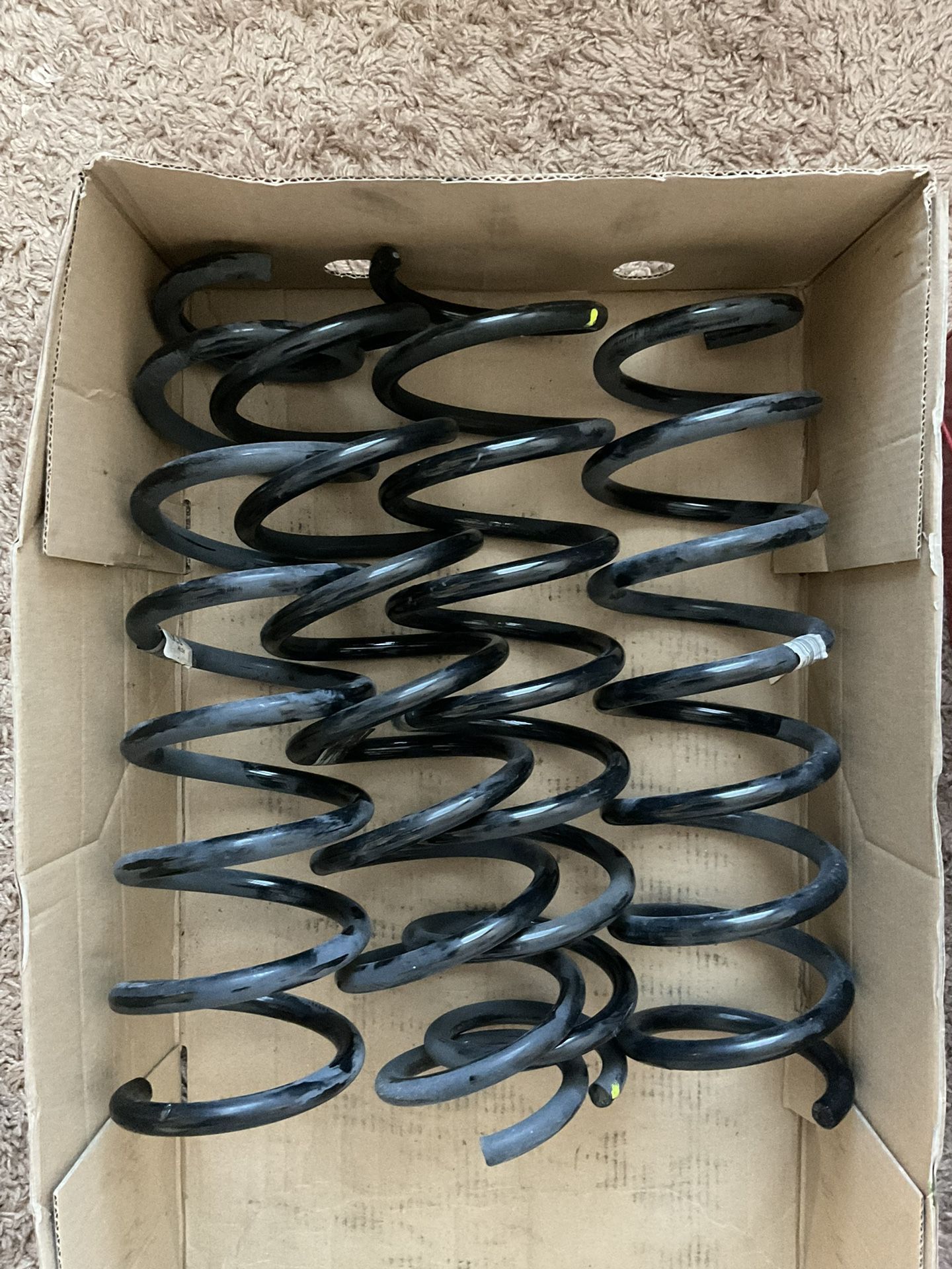 BMW Coil Springs (USED)