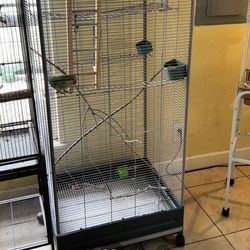 Bird Cage 