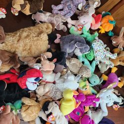 Beanie Babies 