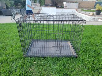 Dog kennel
