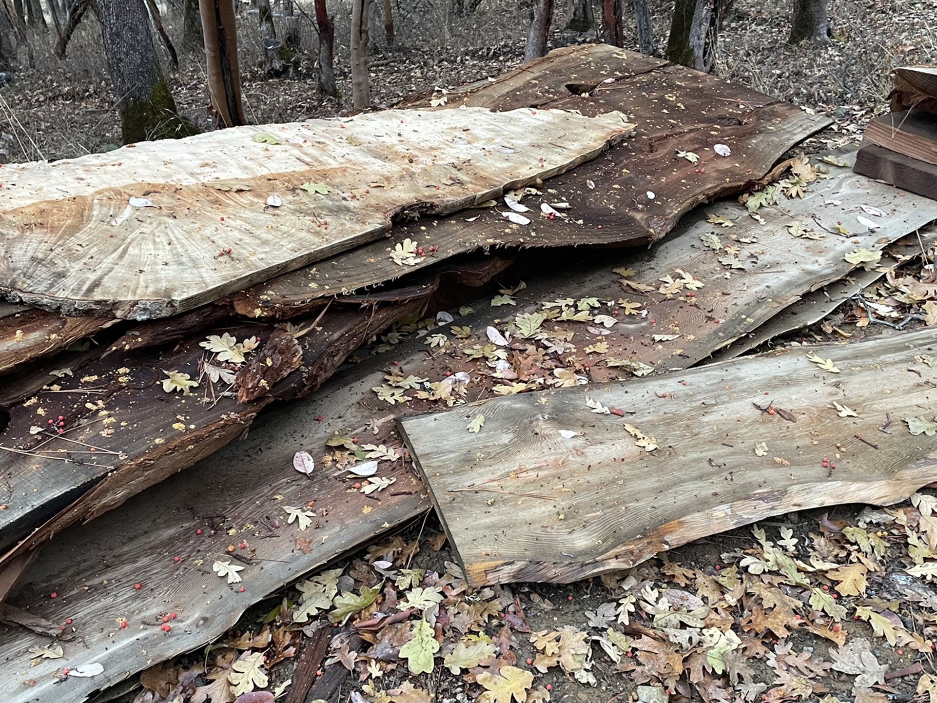 Stack Of Redwood And Fir Live Edge Slabs