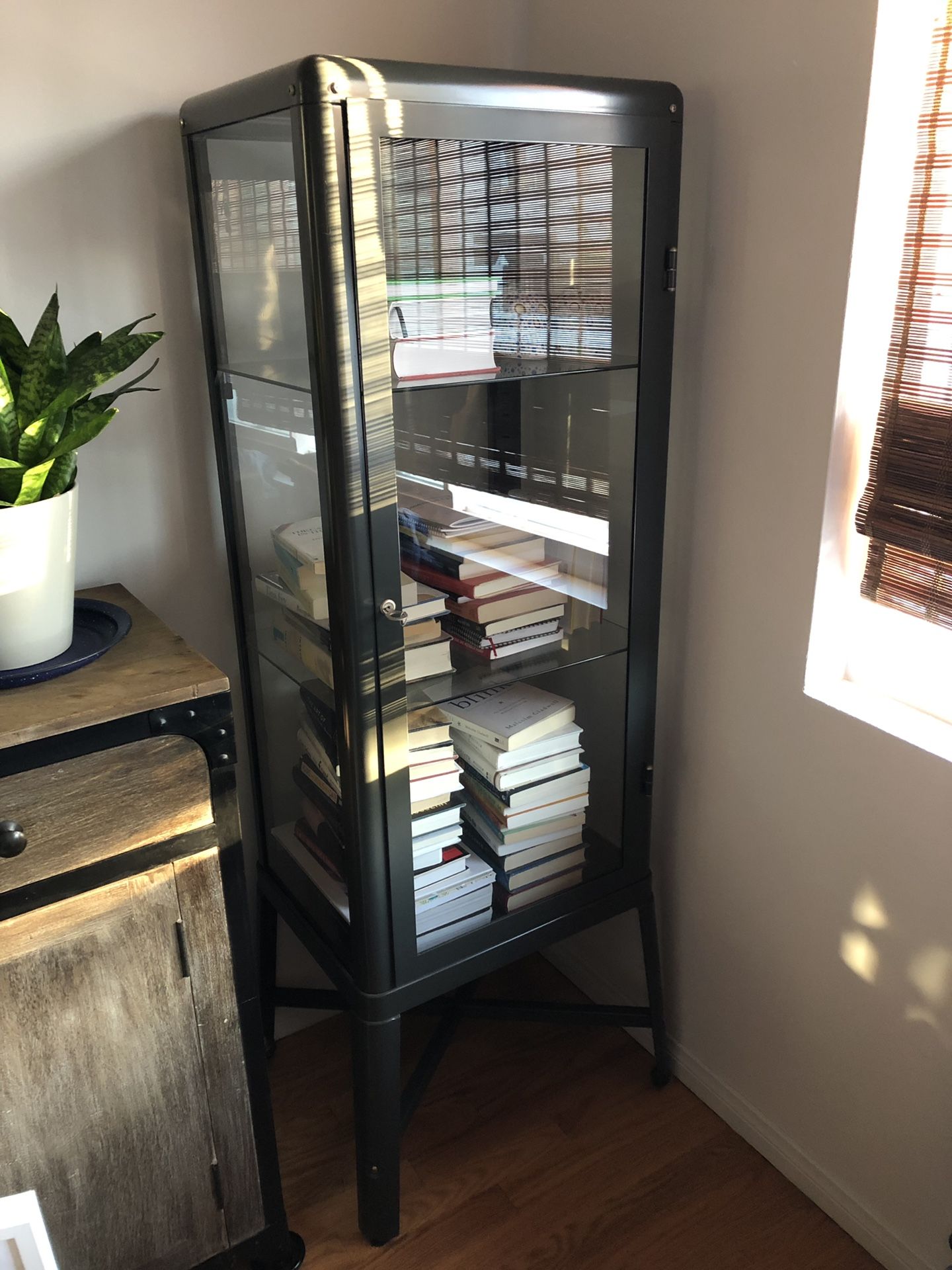IKEA FABRIKÖR Glass-door cabinet, dark gray