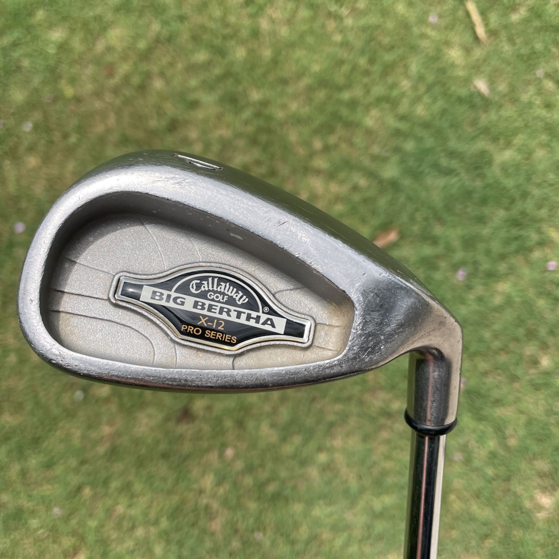 Callaway Big Bertha X12 Pro Series Irons 5 Thru PW for Sale in