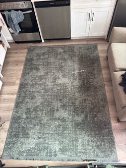 Two tone Sage Green 5x7 Carpet