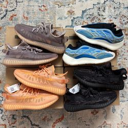 Yeezy size 11