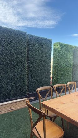 Hedges