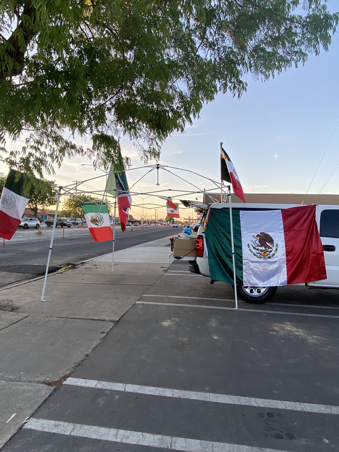 Mexico Flags