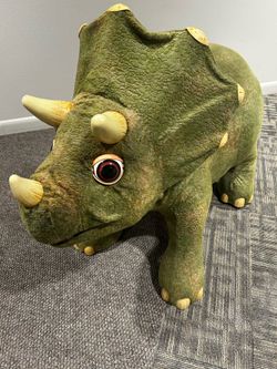 Kota my triceratops
