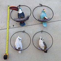 Garden Sculptures and Statues Parrot Owl Toucan $30 EACH