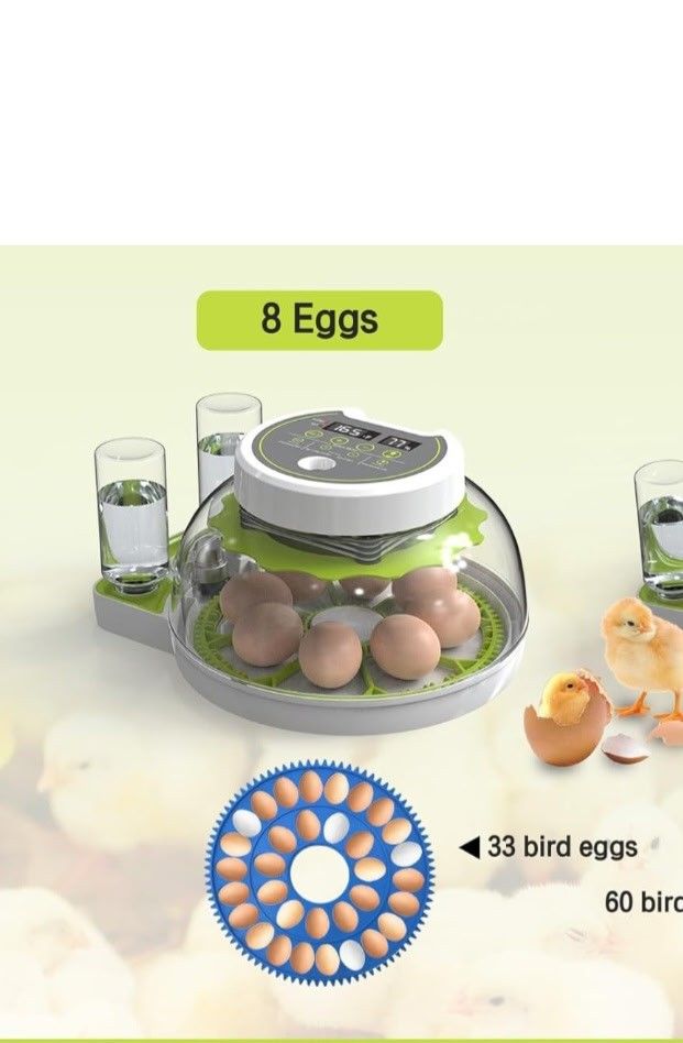 Egg Incubator for Hatching Eggs,Chicken Incubators
