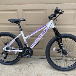 Ecarpet one 24 Mountain bike
