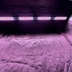 Indoor Grow. Hedera LED lights 