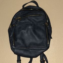 Faded Backpack