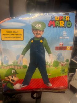 Luigi costume