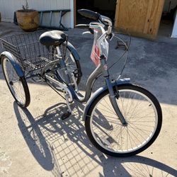 Schwinn Tricycle 