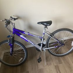 Huffy 26-inch Rock Creek Men's Mountain Bike, Blue