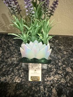 Disney Princess Tiana Bath & Body Works Wallflowers Plug-In Lily Pad