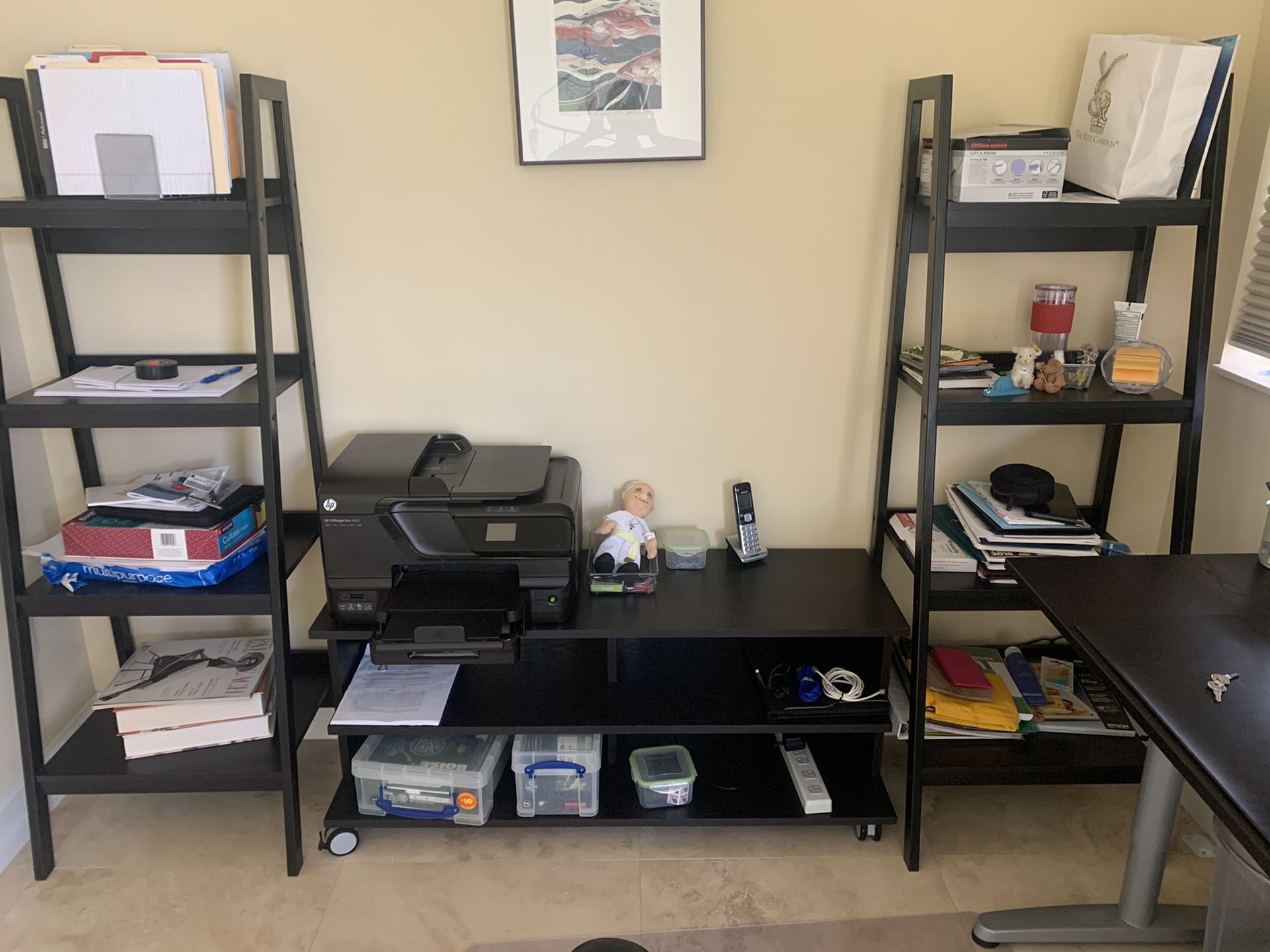 UPDATED: 2 black leaning bookcases & side table