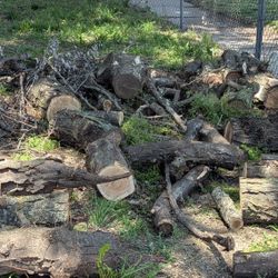 Free Fire Wood
